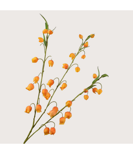 Sandersonia tak oranje H103