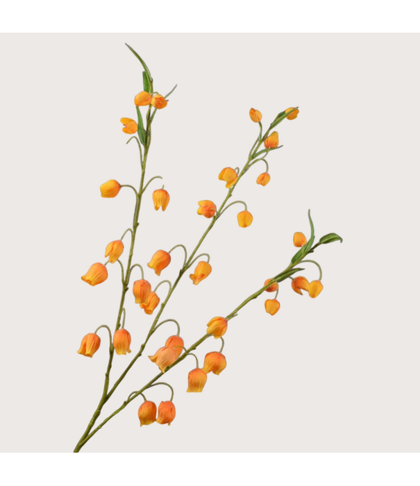 Sandersonia branch orange H103