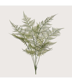 Fern Branch Green UV H65