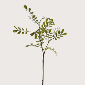 Leaf Branch Green H66