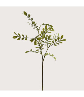 Leaf Branch Green H66