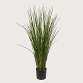 Grass UV H80 D35