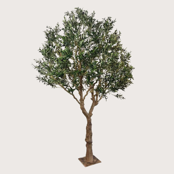 Olive tree XL On Plate H300 D200