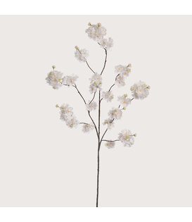 Blossom Branch Cream H130