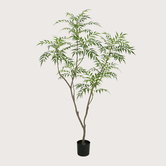 Bamboo H180