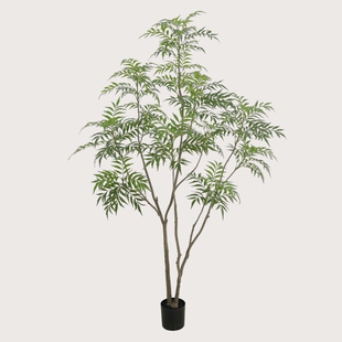 Bamboe H240 D140