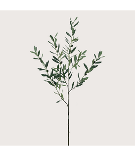 Olive branch H100