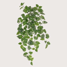 Pothos hanging plant Green H80 FR (Fire-retardant)