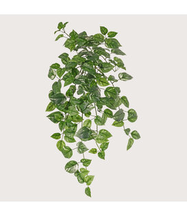 Pothos hanging plant Green FR H80 (Fire-retardant)