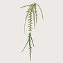Epiphyllum Hangplant Groen FR H125 (Brandvertragend)