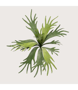 Hertshoorn Steker Groen FR H50 (Brandvertragend)