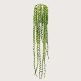 Erwtenplant Hangplant Groen FR H85 (Brandvertragend)