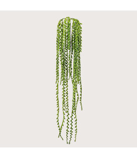 Pea Plant Hanging Plant Green FR H85 (Fire retardant)