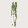 Erwtenplant Hangplant Groen FR H85 (Brandvertragend)