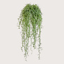 Long Hair Groen FR H80 (Brandvertragend)