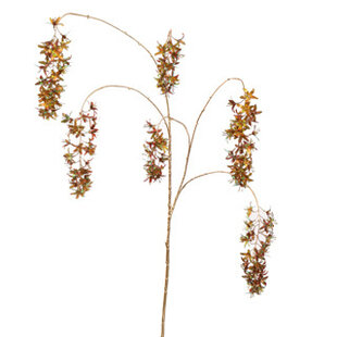 Wisteria H133 Bruin