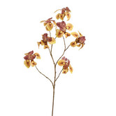 Iris Branch Yellow H113