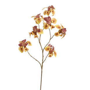 Iris Branch Yellow H113