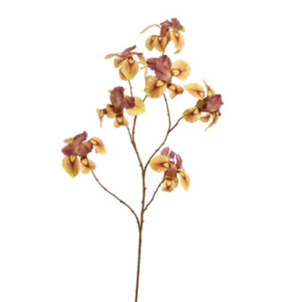 Iris Branch Yellow H113