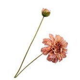 Zinnia Branch CR/PRS RT H62