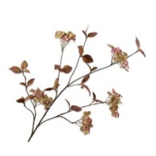 Hortensia Tak Mauve H116