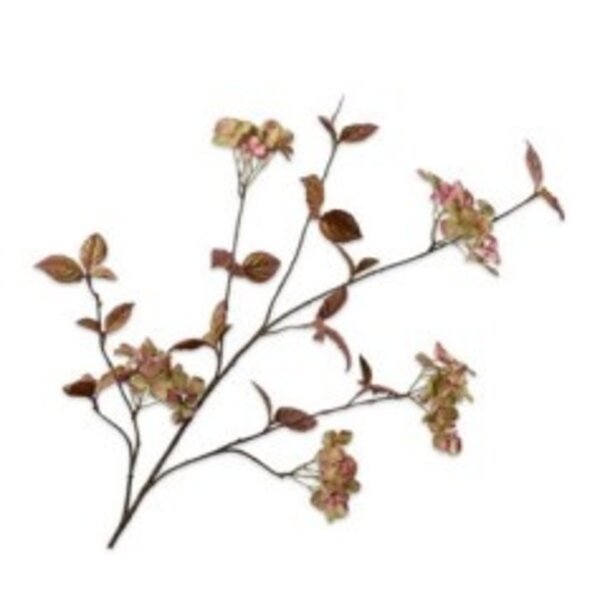 Hortensia Tak Mauve H116