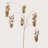 Wisteria Bruin H133
