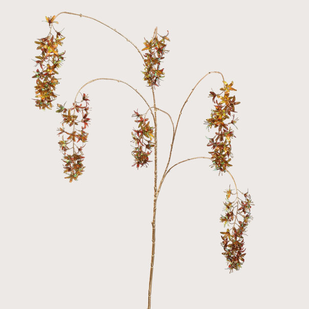 Wisteria Bruin H133