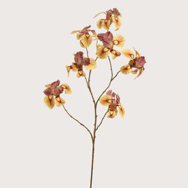 Iris Branch Yellow H113