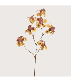 Iris Branch Yellow H113