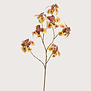 Iris Branch Yellow H113