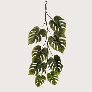 Monstera Guirlande Groen H120