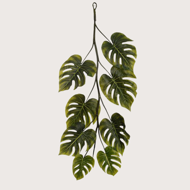 Monstera Guirlande Groen H120