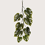 Monstera Guirlande Groen H120