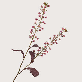 Primula Branch Pink H85