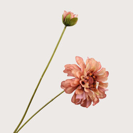 Zinnia Branch Orange H62
