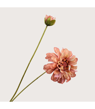 Zinnia Branch Orange H62