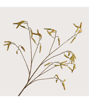 Willow Branch Green H142