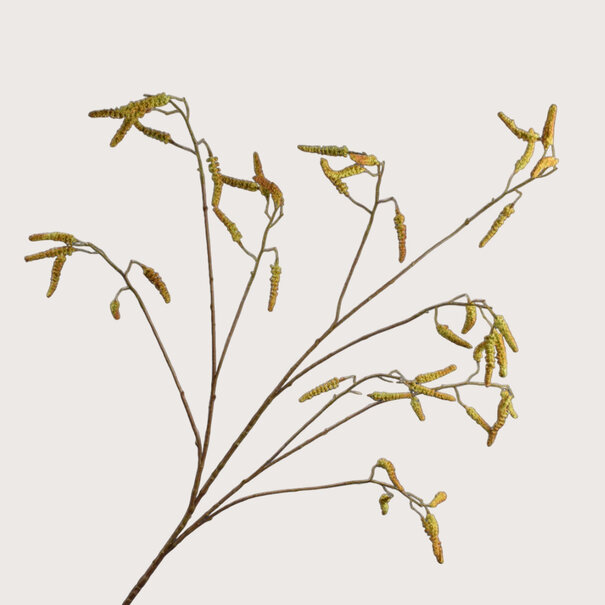 Willow Branch Green H142