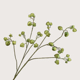 Physalis Branch Green H123