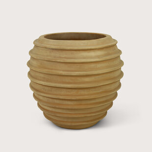 Pot Bully Bruin D65 H59