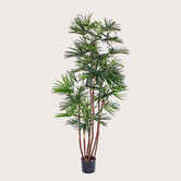 Babyblad Palm UV Groen H160 D80