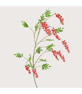 Wisteria branch Fuchsia H180