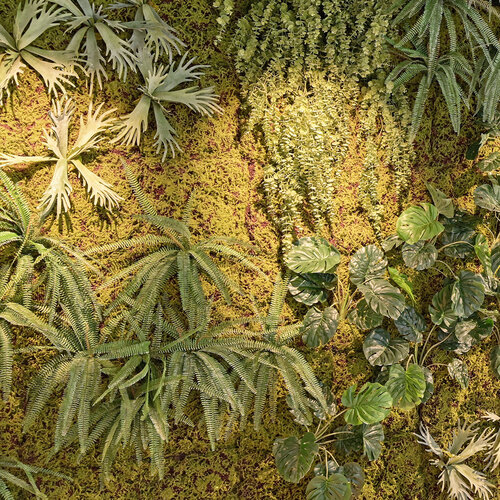 Brandvertragende planten