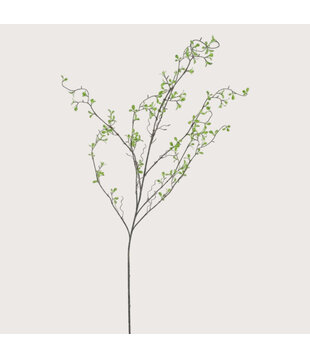 Spring Frisse Blad Tak Groen H130