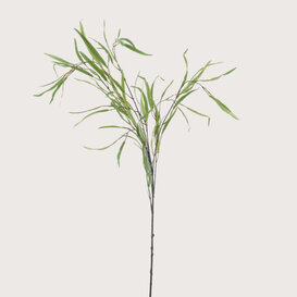 Willow Tak Groen H118