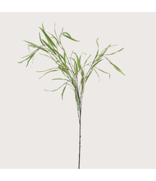 Willow Branch Green H118