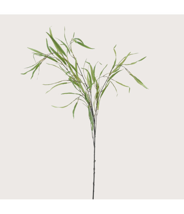 Willow Branch Green H118