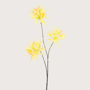 Spider Flower Branch Yellow H94