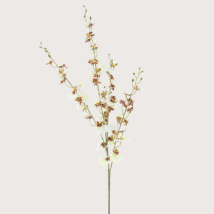 Oncidium Orchid Branch Cream H93